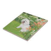 Bichon Frise Coral Fantasy Fliese (Seite)