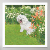 Bichon Frise Coral Fantasy Poster (Vorne)