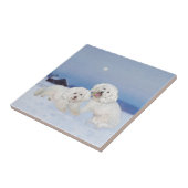 Bichon Frise Dezember Abend Fliese (Seite)