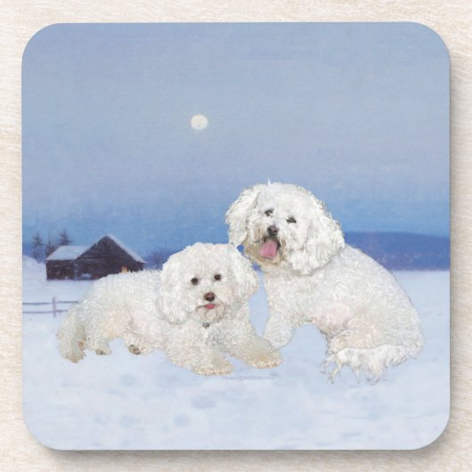 Bichon Frise Dezember Abend Getränkeuntersetzer (Vorderseite)