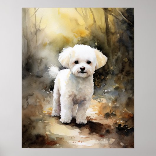Bichon Frise Dog Art Print Poster (Vorne)