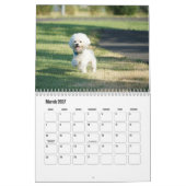 Bichon Frise dog Calendar Kalender (Mär 2027)