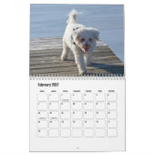 Bichon Frise dog Calendar Kalender (Feb 2027)