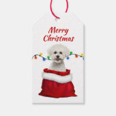 Bichon Frise Dog in Santa Bag Geschenkanhänger (Vorderseite)