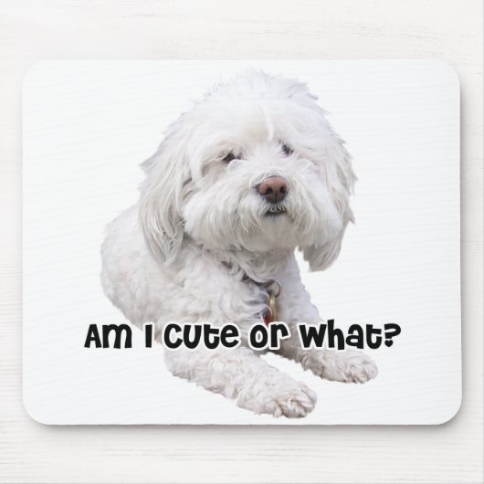 Bichon Frise Dog Mousepad (Vorne)