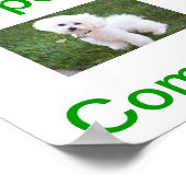 Bichon Frise Dog Open Sign Poster (Ecke)