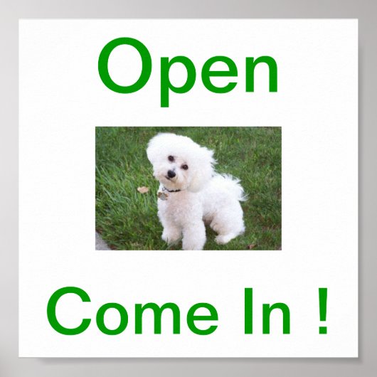 Bichon Frise Dog Open Sign Poster (Vorne)
