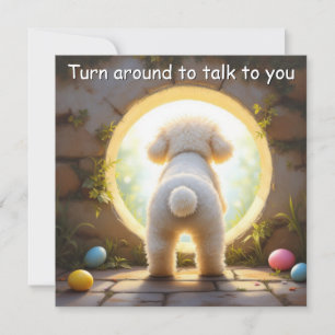 Bichon Frise dog - Ostern Feiertagskarte