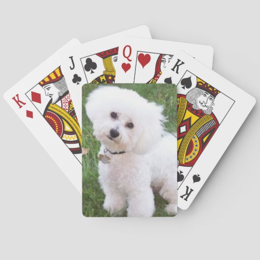 Bichon Frise Dog Playing Cards Spielkarten (Rückseite)