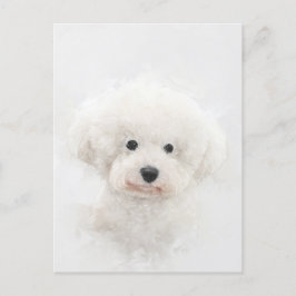 Bichon Frise Dog Portrait Postkarte