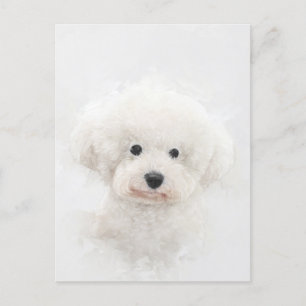 Bichon Frise Dog Portrait Postkarte