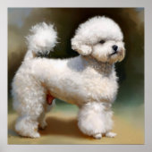 Bichon Frise Dog Poster (Vorne)
