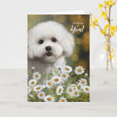 Bichon Frise Dog Thinking of You Daisies Karte (Gelbe Blume)