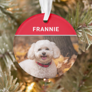Bichon Frise Dog's Name und Foto Weihnachten Ornament