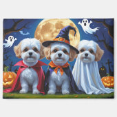 Bichon Frise Dogs Pumpkin Halloween Funny Magnet (Vorderseite)