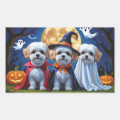 Bichon Frise Dogs Pumpkin Halloween Funny Rechteckiger Aufkleber (Vorderseite)