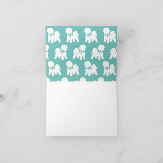 Bichon Frise Doppy Welpe (Innenseite)