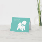 Bichon Frise Doppy Welpe (Vorderseite)