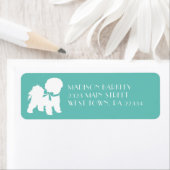 Bichon Frise Doppy Welpe (Insitu)