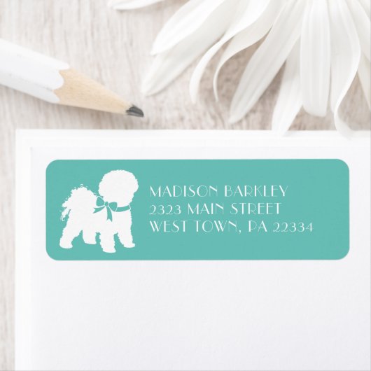 Bichon Frise Doppy Welpe (Insitu)