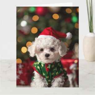 Bichon Frise Elf Welppy Christmas Card Karte