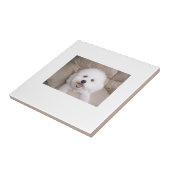 Bichon Frise Fliese (Seite)