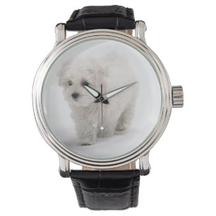 Bichon Frise Foto Armbanduhr