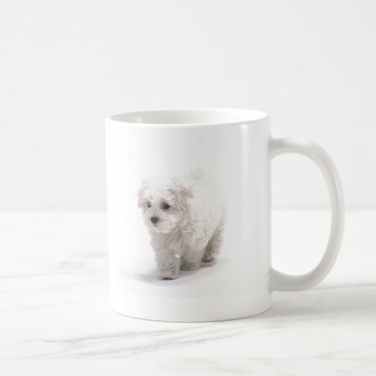 Bichon Frise Foto-Kaffee-Tasse Kaffeetasse (Rechts)