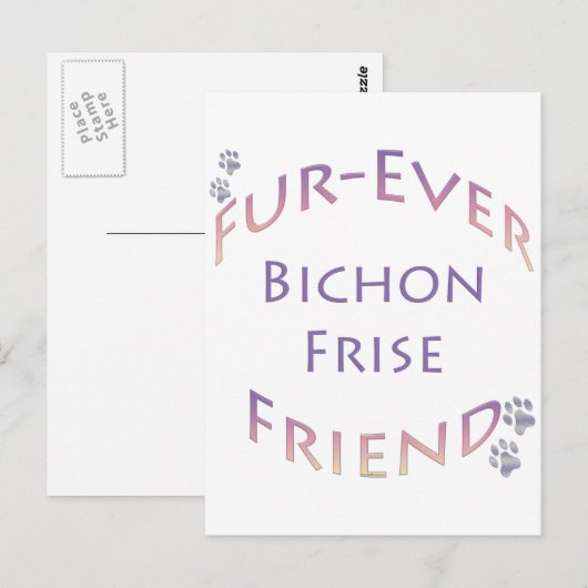 Bichon Frise Furever Postkarte (Vorne/Hinten)