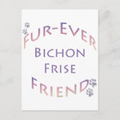 Bichon Frise Furever Postkarte (Vorderseite)