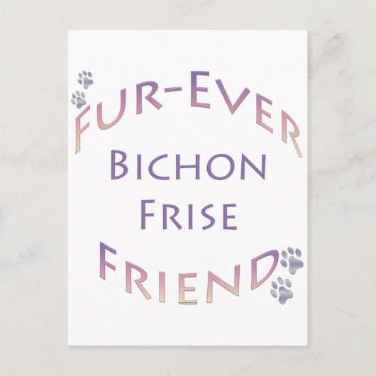 Bichon Frise Furever Postkarte (Vorderseite)
