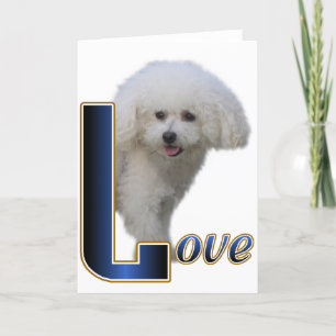 Bichon Frise Geschenke Karte