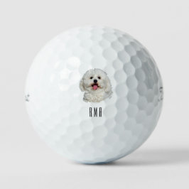 Bichon Frise Golfball