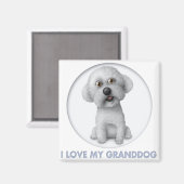 Bichon Frise Granddog Magnet (Vorderseite/Rückseite)