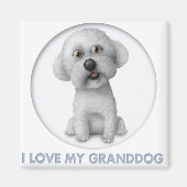 Bichon Frise Granddog Magnet (Vorne)