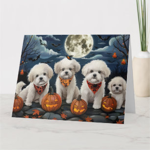 Bichon Frise Halloween Gruselig Karte