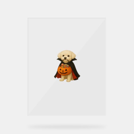 Bichon Frisé Halloween Vampire Pup mit Pumpkin Ba Acrylschild (Vorderseite)