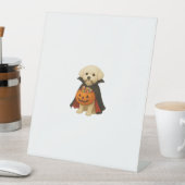 Bichon Frisé Halloween Vampire Pup mit Pumpkin Ba Sockelschild (In Situ)