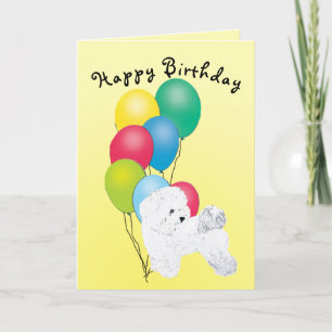 Bichon Frise Happy Birthday Karte