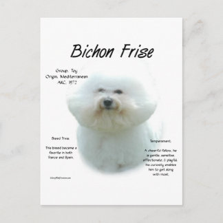 Bichon Frise History; alles über Bichon Frise Postkarte