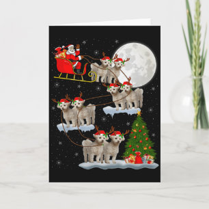 Bichon Frise Hund Santa Schlitten Fliegend Lustig Karte