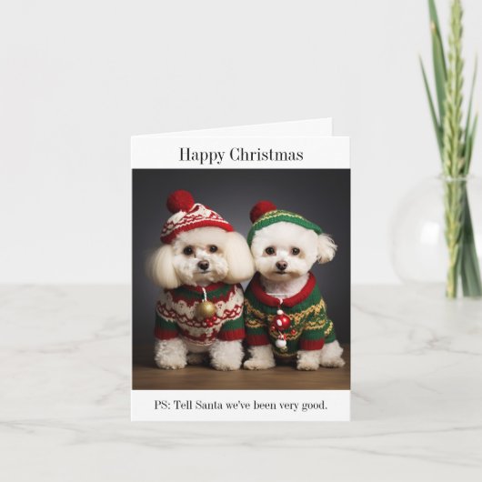 Bichon Frise Hunde Weihnachtskarte Karte (Vorderseite)