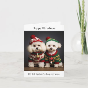 Bichon Frise Hunde Weihnachtskarte Karte