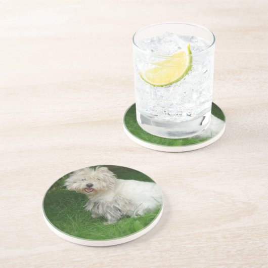 Bichon Frise HundeUntersetzer Getränkeuntersetzer (Seite)