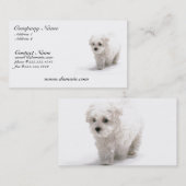 Bichon Frise HundeVisitenkarte Visitenkarte (Vorne/Hinten)