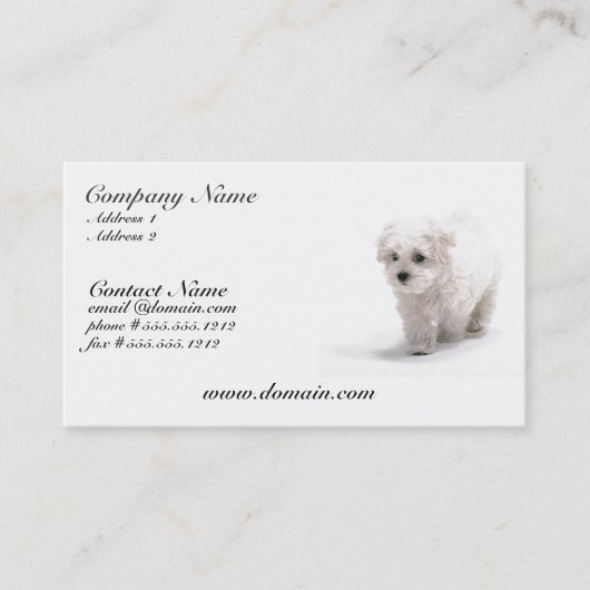 Bichon Frise HundeVisitenkarte Visitenkarte (Vorderseite)