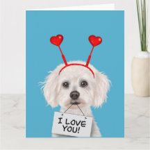 Bichon Frise "Ich liebe Dich" Valentinstag