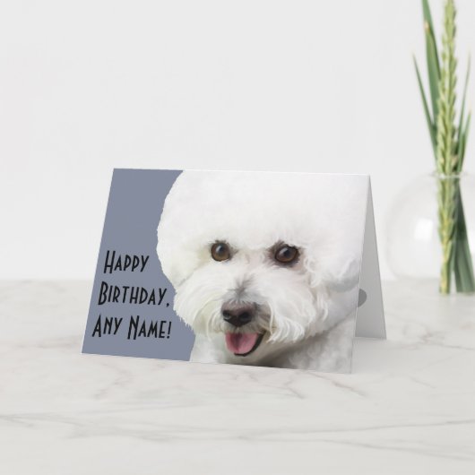 Bichon Frise Illustrated Birthday Card Karte (Vorderseite)