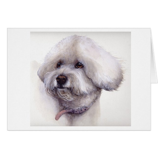 Bichon Frise in Aquarellfarbe gemalt (Vorderseite (Horizontal))
