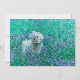 Bichon Frise in Blauem Rittersporn Dankeskarte